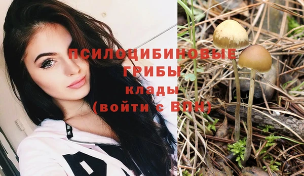 гидропоника Абаза