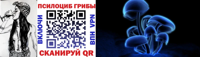 Галлюциногенные грибы Magic Shrooms наркошоп Болохово